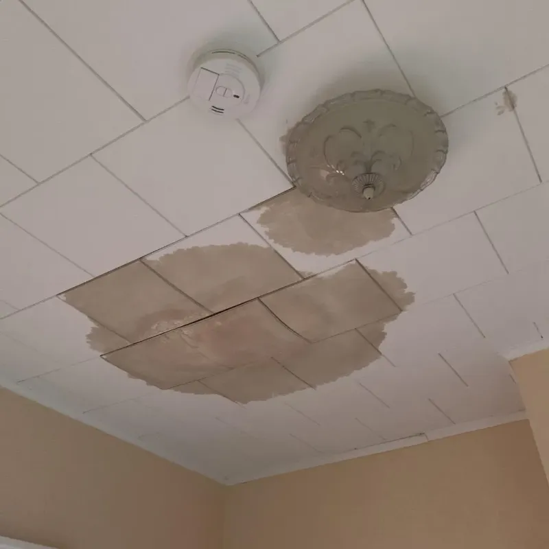 Ceiling Water Damage Repair in Huntsville, AL