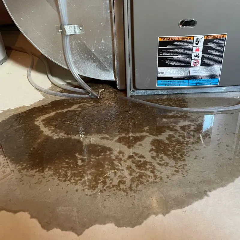 Pipe Burst and Leak Restoration in Huntsville, AL